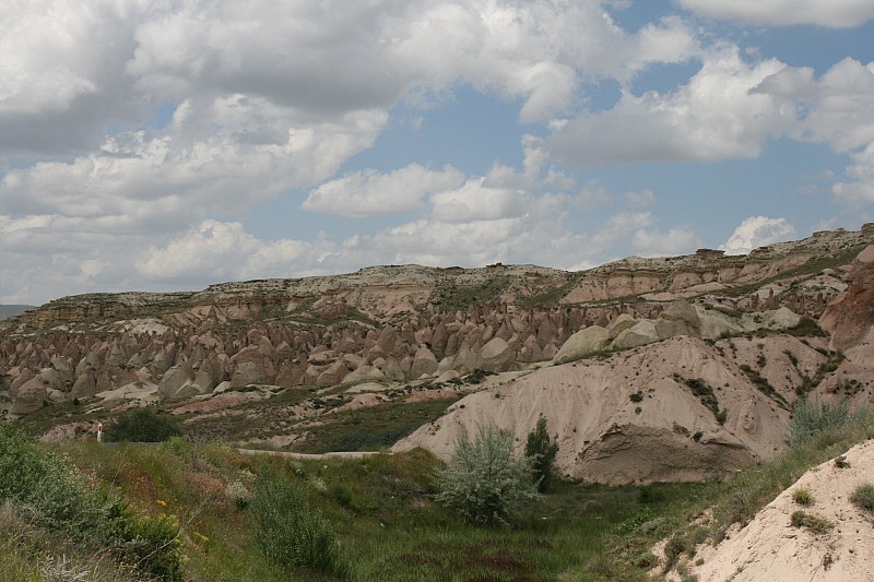 Quando la Natura crea